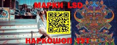 стафф Донской