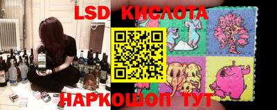 стафф Донской