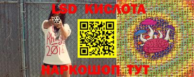 стафф Донской