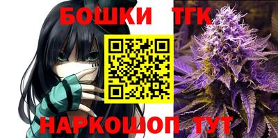 стафф Донской