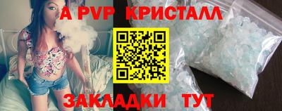 стафф Донской