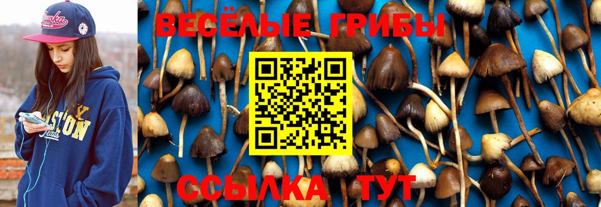 Псилоцибиновые грибы мицелий Людиново