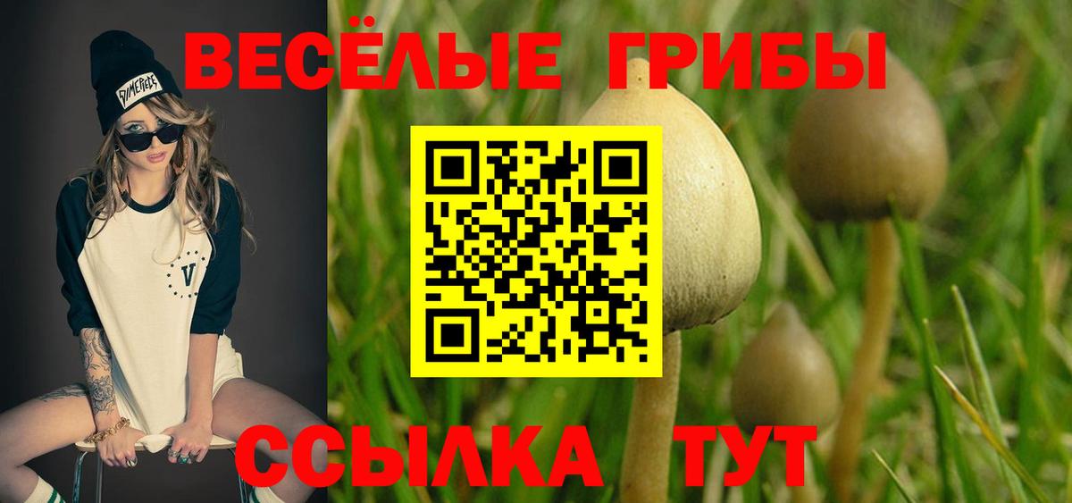 Людиново  Псилоцибиновые грибы мухоморы  Вход с VPN 